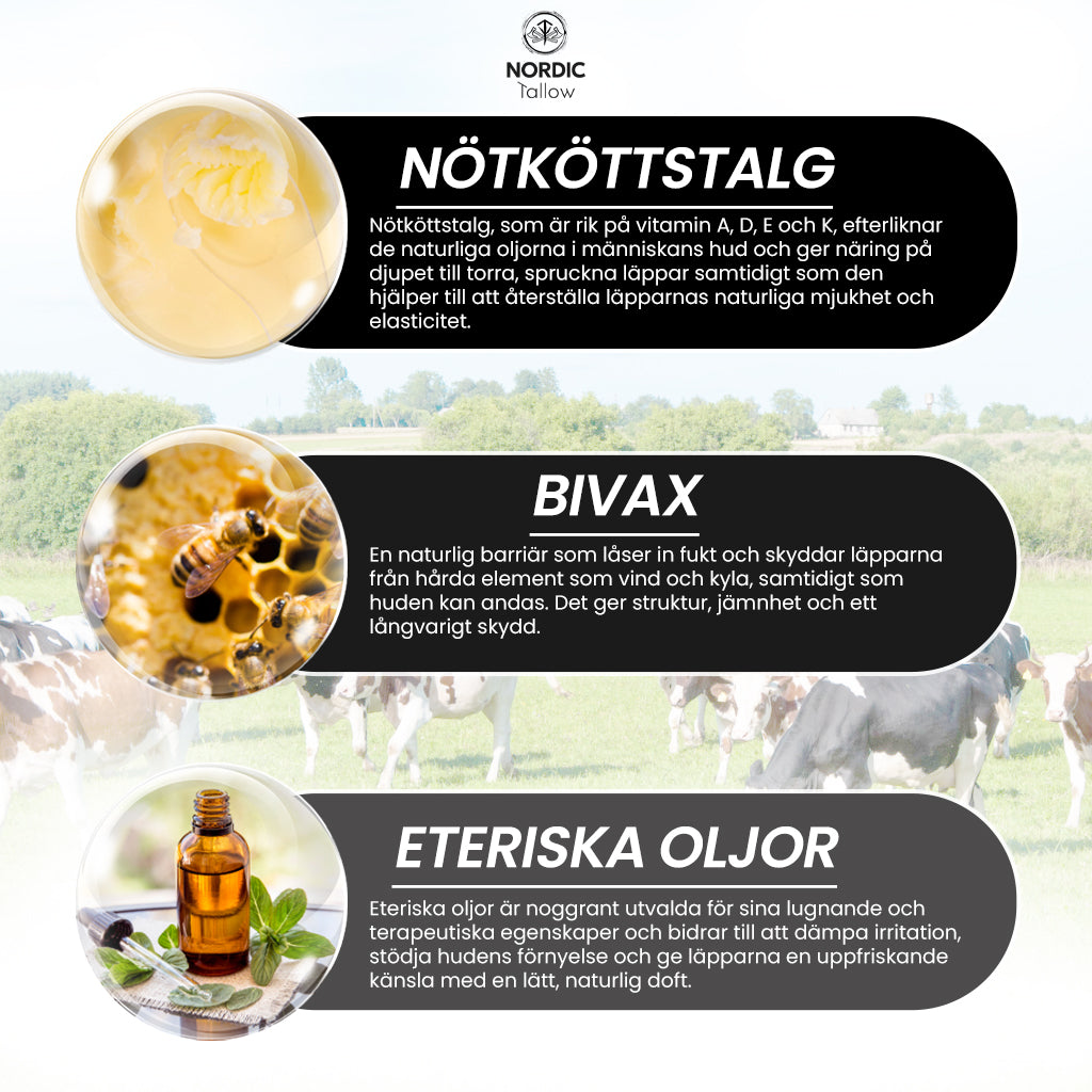 Nordic Tallow Lip Balm