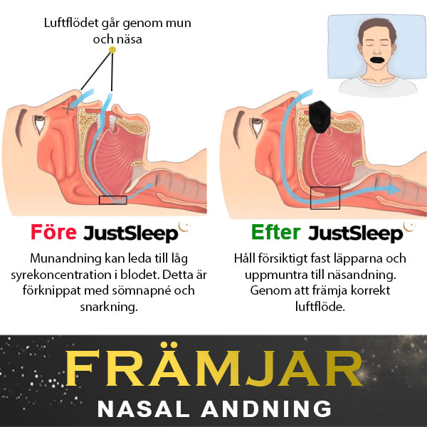 JustSleep™ Premium Muntejp