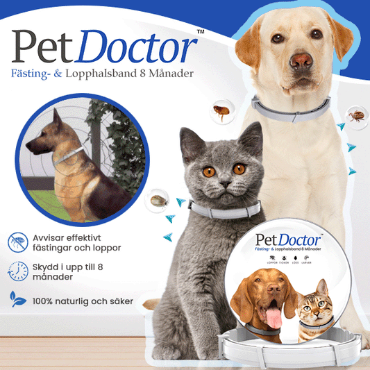 PetDoctor