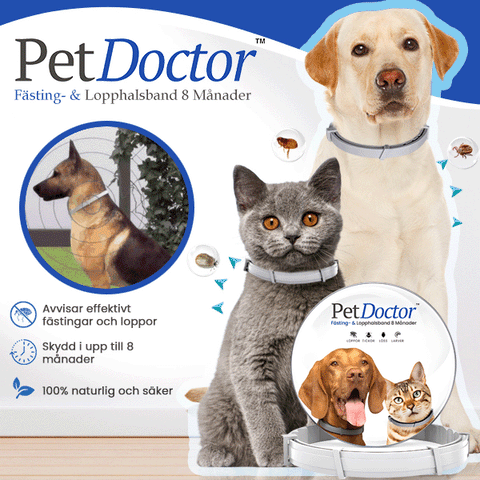 PetDoctor™ Fästing- & Lopphalsband 8 Månader